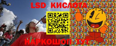 шишки Усть-Джегута