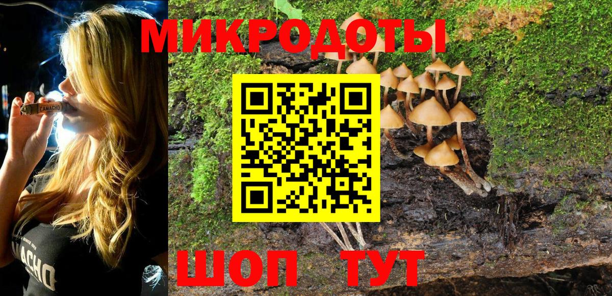 Осинники  Галлюциногенные грибы прущие грибы  Галлюциногенные грибы Psilocybine cubensis  Вход с VPN 